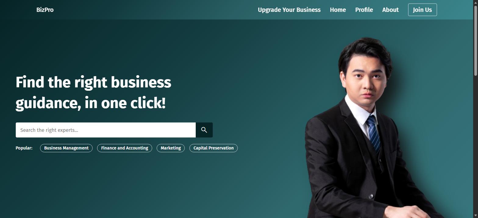 BizPro running locally